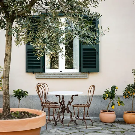 Palazzo Dasso B&B 비테르보