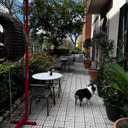 Bed & Breakfast Palazzo Dasso Viterbo