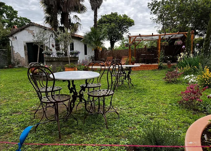 Bed and Breakfast Palazzo Dasso Βιτέρμπο